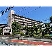 鎌倉岩瀬ハイツの賃貸物件