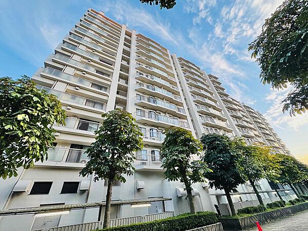 外観：314002856315