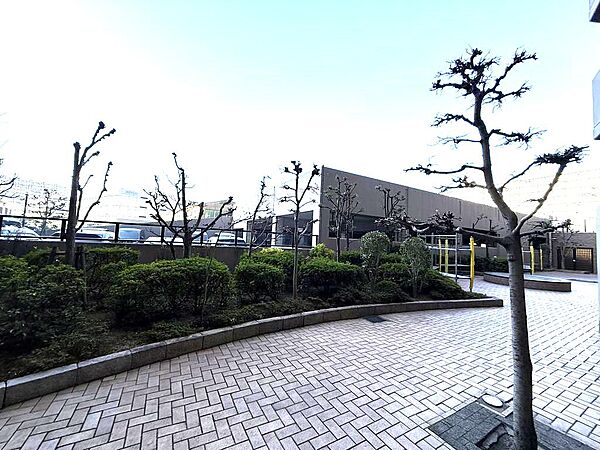 マンション全体のアプローチ部分ですマンション前には緑歩道がありお散歩やジョギングに適してます