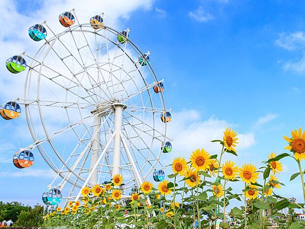 ソレイユの丘 徒歩81分。 6430m