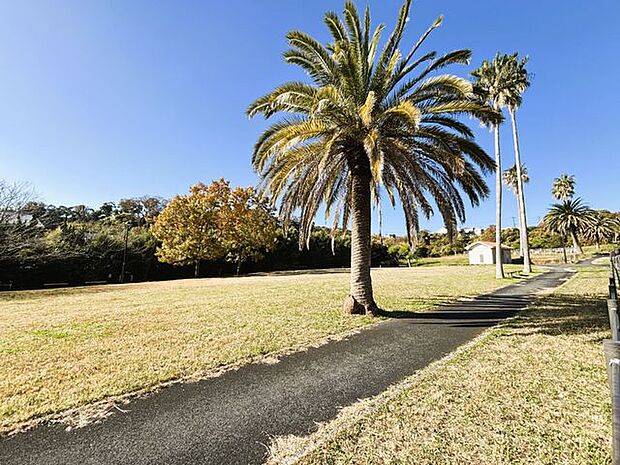 佐島の丘公園まで徒歩6分（約480ｍ）