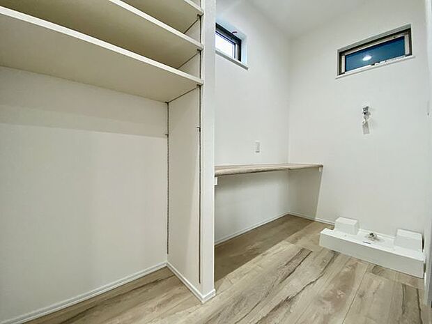 造作棚やカウンター付き。