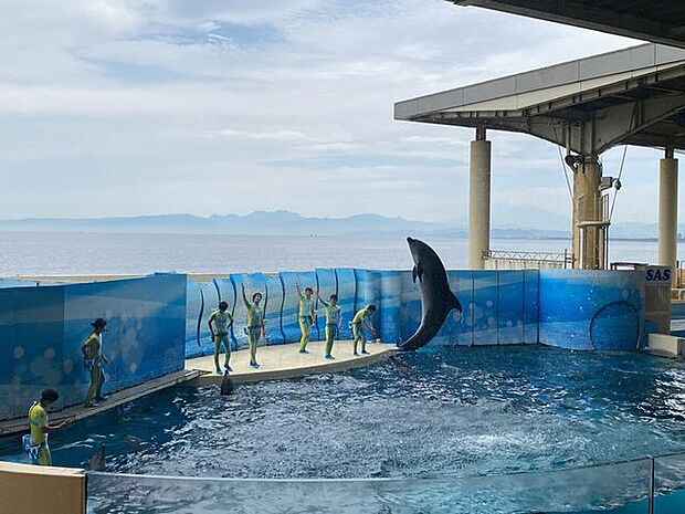 新江ノ島水族館まで車で11分 約3.7km
