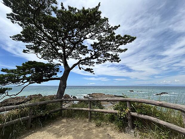 立石海岸まで徒歩10分　約800ｍ