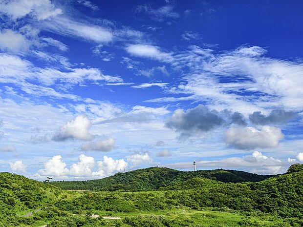 大楠山 徒歩35分。 2750m