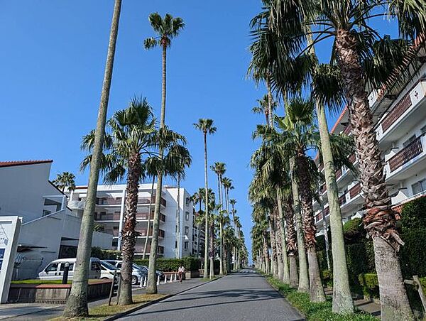 敷地内イメージ
