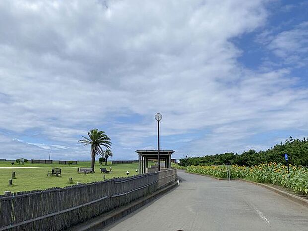 湘南海岸公園まで徒歩11分 約850m