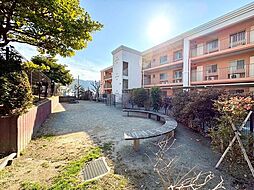 アデニウム葉山一色　507