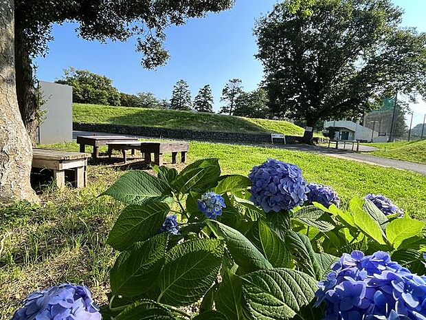 第一運動公園まで徒歩2分(約160m)