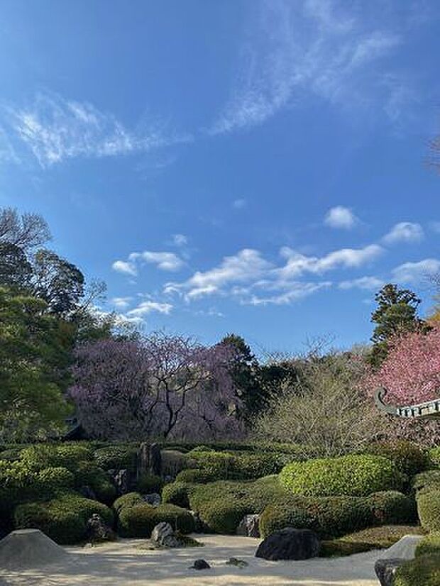 明月院まで車で4分 約1.1km
