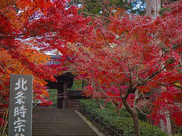 円覚寺まで車で8分 約1.8km