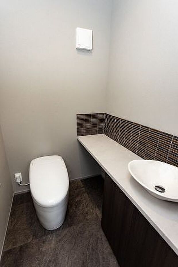 洗面台付きのトイレ。