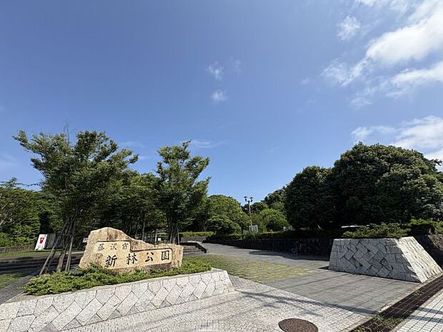 新林公園まで徒歩16分 約1.1km