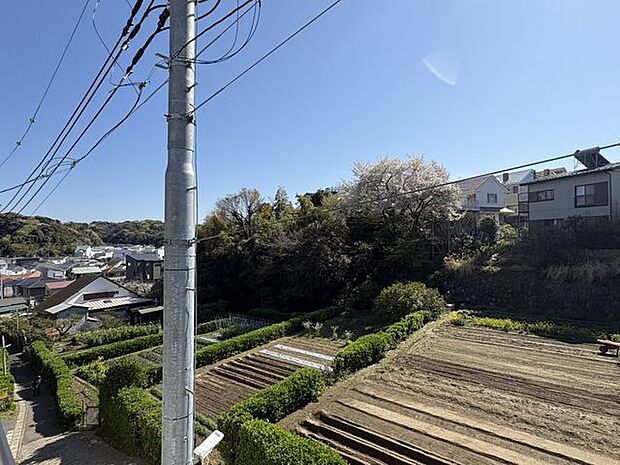 窓の外は癒しの風景です