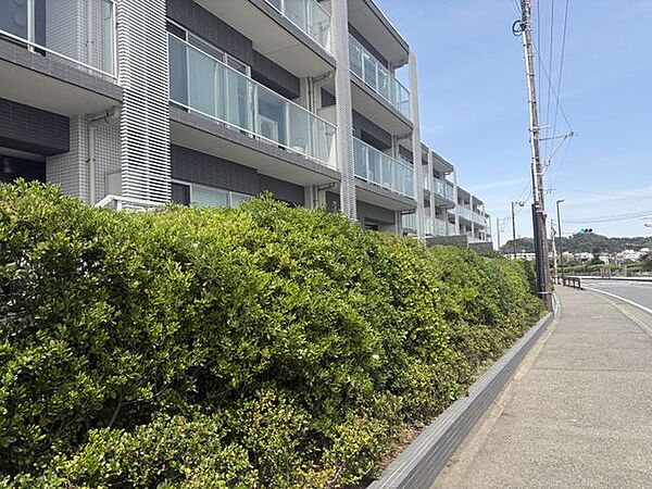 植栽の緑が海に映えます