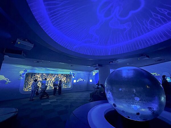 新江ノ島水族館まで車で9分　約3.4ｋｍ