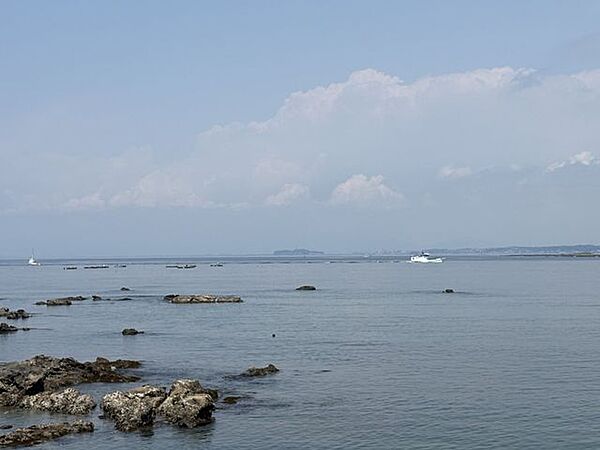 海の側で、潮風が心地よい住環境（約55ｍ）