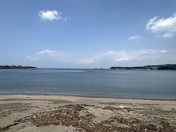 海に面した「富浦公園」（約1200ｍ）