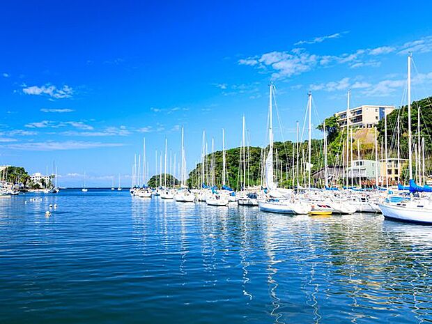 小網代湾 徒歩19分。 1490m