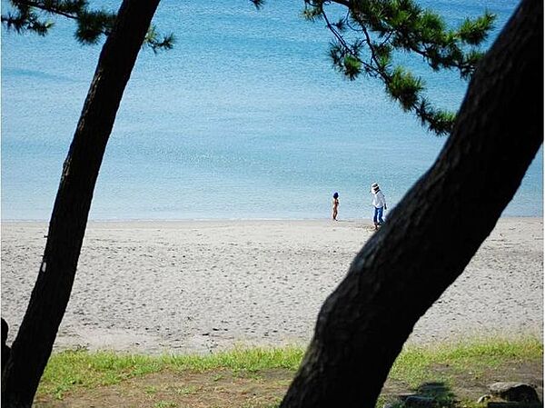 海まで徒歩12分（約960ｍ）