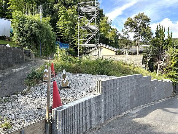 広く開放的な角地です。