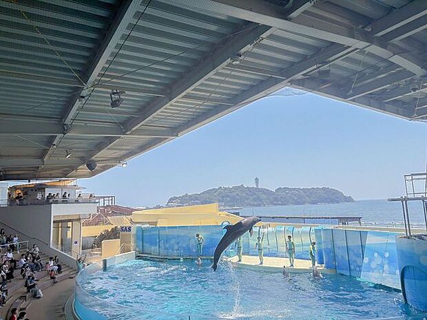 新江ノ島水族館まで車で33分 約11.1km海の生き物観察やイルカショー等お子様にも大人気です。