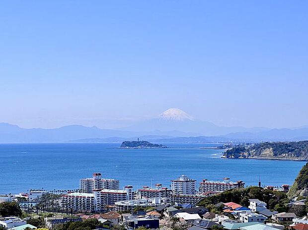 披露山公園まで車で10分 約4.2km湘南の海岸線を見渡せます。春先にはお花見もおすすめです。