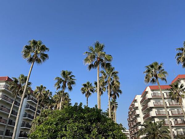 逗子マリーナまで徒歩13分　約850ｍ南国リゾートの雰囲気を味わえます。