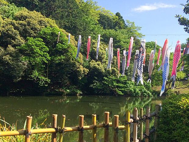 ご家族で自然を満喫する週末もいいですね！　鎌倉中央公園まで車で9分　約2.6km