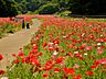 その他：お天気のいい日は家族で自然を満喫くりはま花の国まで車で26分　12.6km