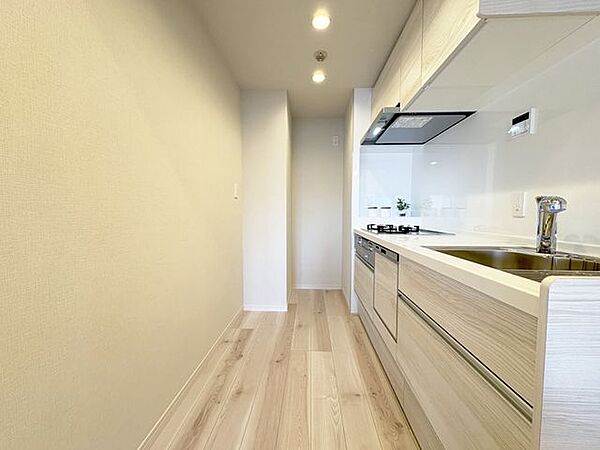食洗機や浄水器など、家事をサポートする設備も充実