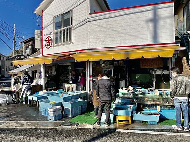 地元の魚屋さん