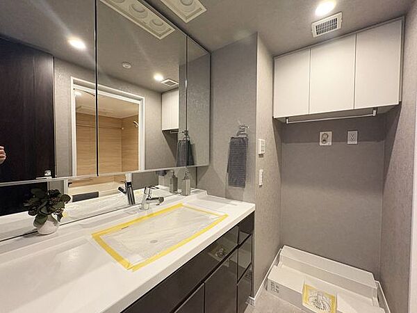 使い勝手の良い洗面所。※家具、照明、観葉植物、雑貨等は販売価格には含まれておりません。