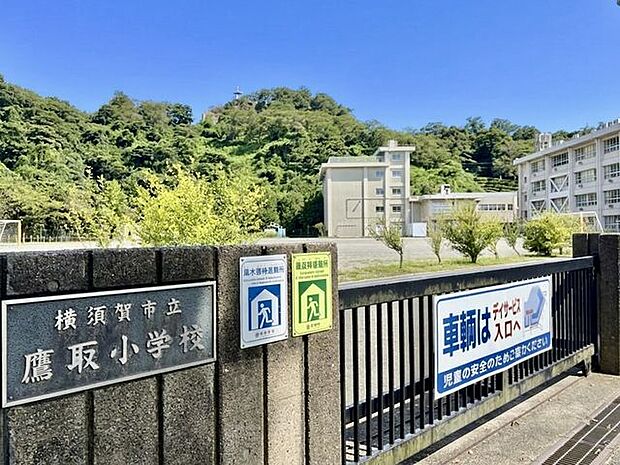 市立鷹取小学校 徒歩13。 1040m