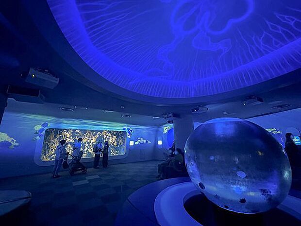 新江ノ島水族館まで車で10分 約3.2km海の生き物観察やイルカショーなどお子様に大人気です。