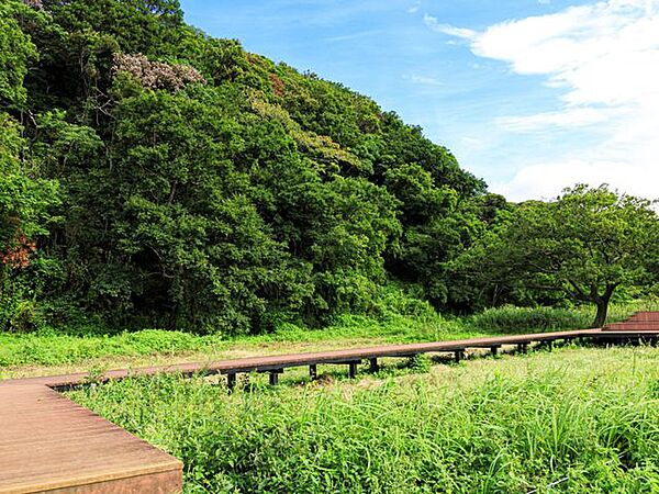 小綱代の森まで徒歩19分　約1.4km