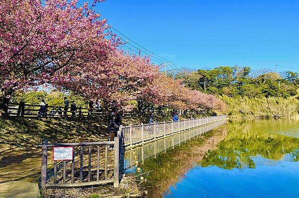小松ヶ池公園まで車で14分　約6.1km