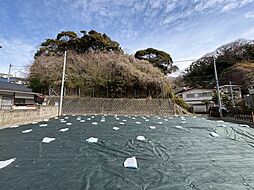 神奈川県逗子市小坪１丁目