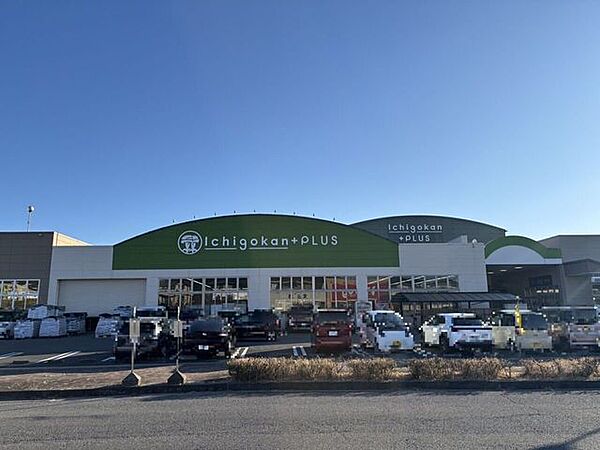Ichigokan+PLUS 桑名陽だまり店 1000m