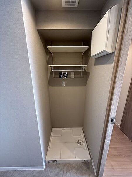 洗濯機置場の上部には、洗剤などのストックに便利な可動棚を設置。空間を無駄なく活用