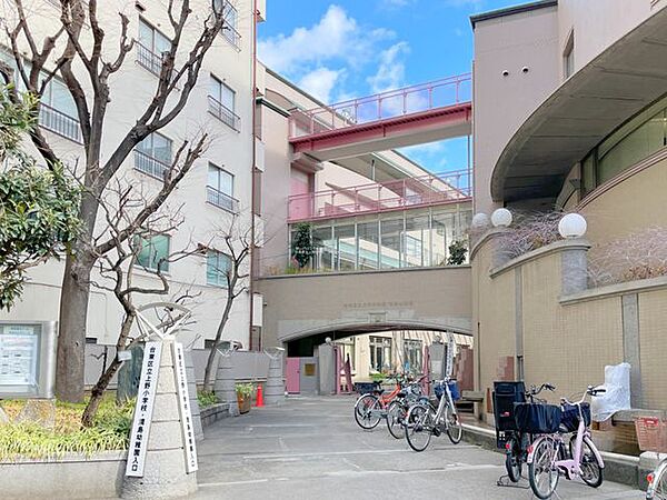 台東区立上野小学校 徒歩3分。 230m