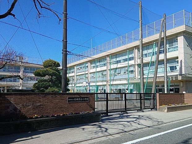 石神井台小学校 250m