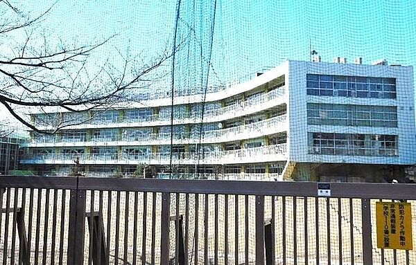 井之頭小学校 30m