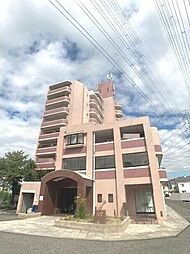 シャンテ辻亀