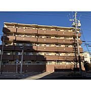 ソフィア本山 2階 築13年8ヶ月の賃貸物件