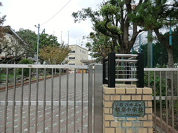 横浜市立根岸小学校まで約560ｍ