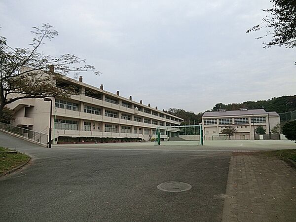 横浜市立本牧小学校まで約380ｍ
