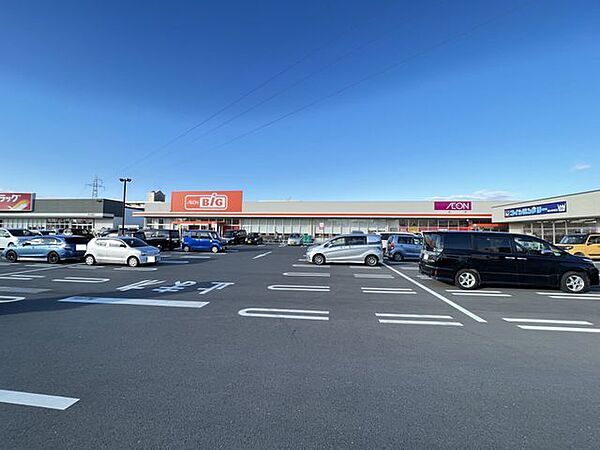 【周辺環境/スーパー】ザ・ビッグ釜大街道店様まで1000m（車3分）