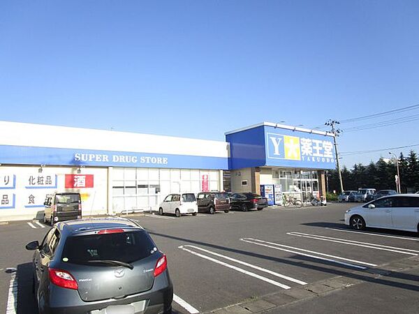【周辺環境/ドラッグストア】ツルハドラッグ登米豊里店様まで5200m（車11分）