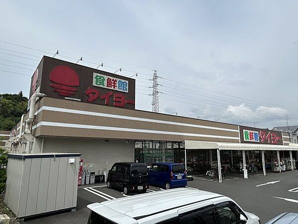 【スーパー】食鮮館タイヨー 日立店様まで350m（徒歩5分） 611m